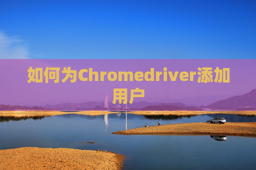 如何为Chromedriver添加用户 如何为Chromedriver添加用户